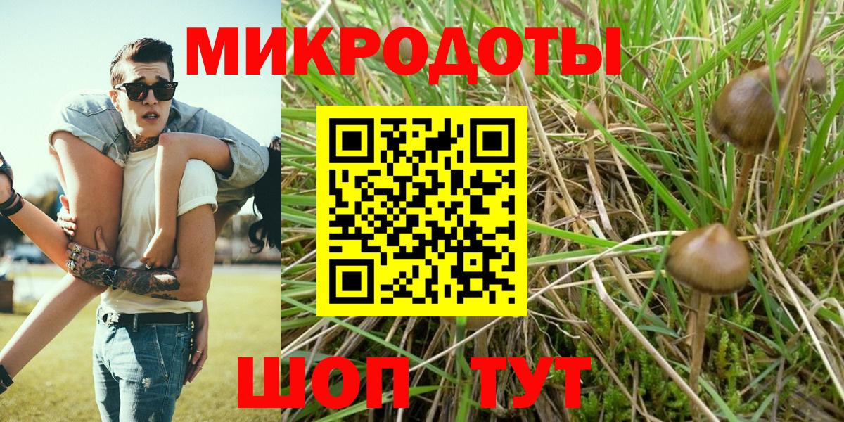 Коммунар  закладка  Вход с VPN  Галлюциногенные грибы прущие грибы 