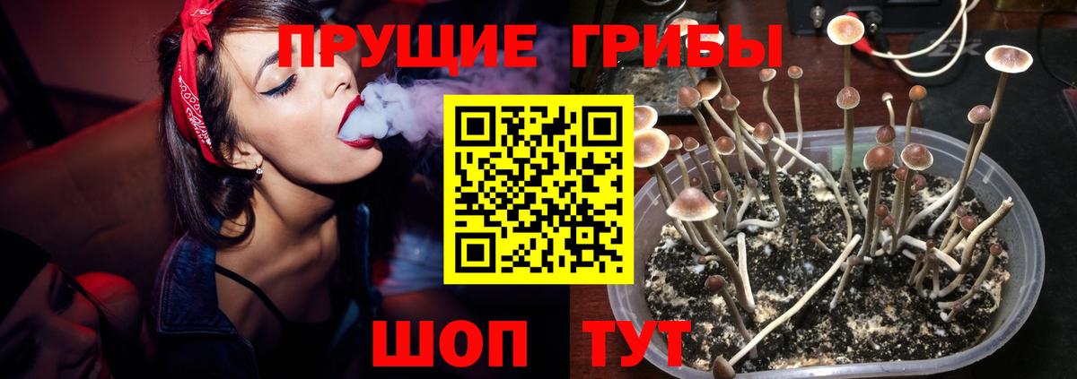 Галлюциногенные грибы MAGIC MUSHROOMS Коммунар