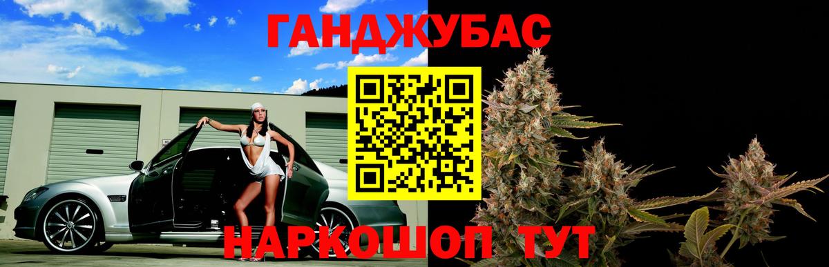 Канабис сатива Коммунар